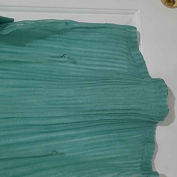Anthropologie Field Flower Green Sheer Gauze Top - Picture 5 of 8